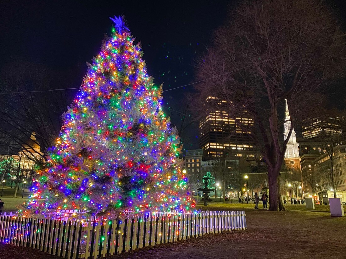 The Christmas tree on Boston Common Boston Massachusetts
