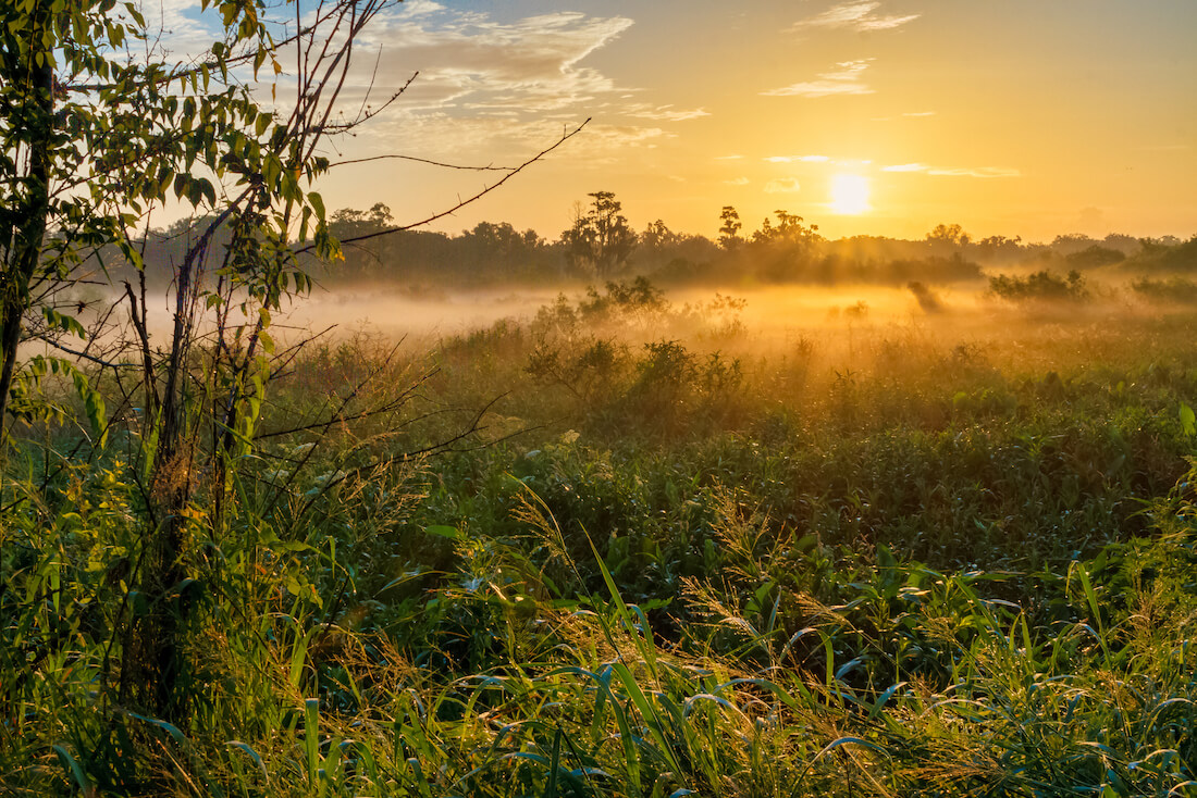 A beautiful sunrise at Circle-B-Bar Reserve near Lakeland, Florida