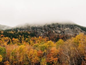 Autumn color and fog in Grafton Notch State Park in Newry, Maine