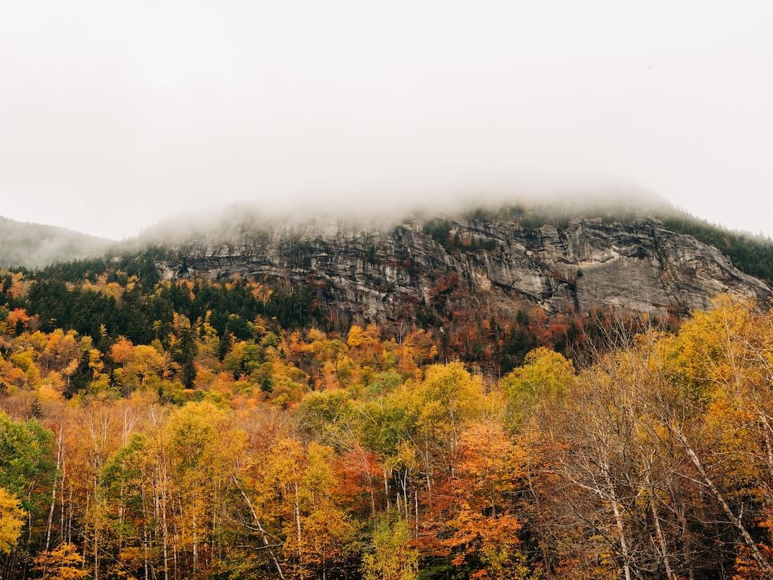 Autumn color and fog in Grafton Notch State Park in Newry, Maine