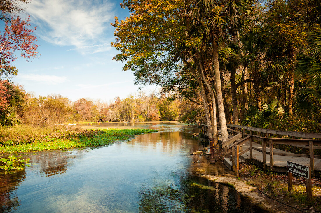 Wekiva Springs in Florida near Orlando