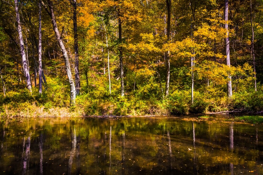 Autumn color along the Gunpowder River in Gunpowder Falls State Park Maryland