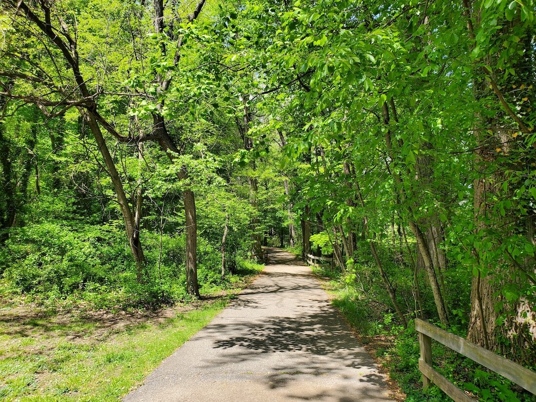 Beautiful green trees along the hiking trail near Bellevue Park, Wilmington, Delaware