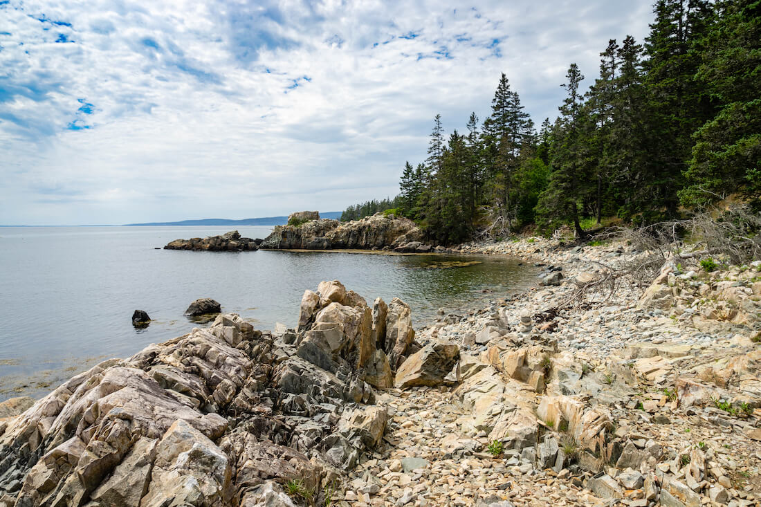 Trees surround a cove in the Schoodic Peninsula in the Acadia National Park in Maine