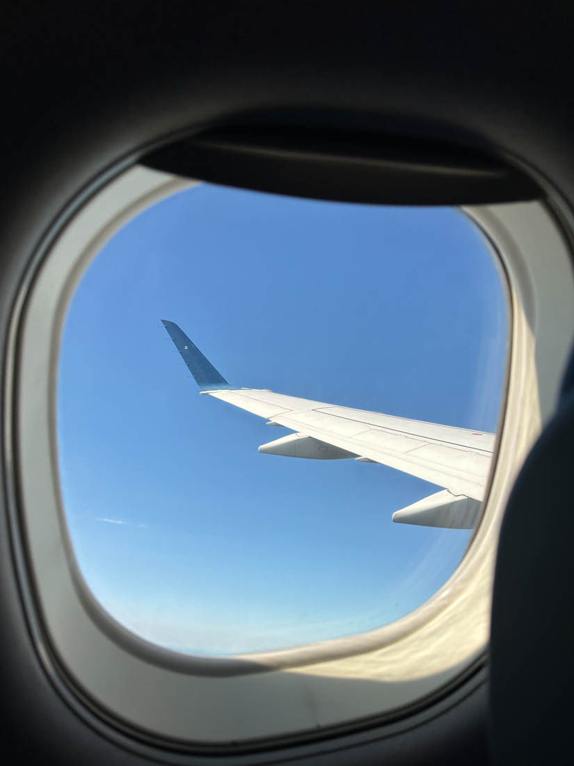Delta Wing From Plane Window