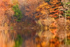 Golden autumn foliage around New Jersey lake in Appalachian mountains
