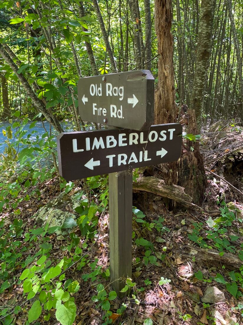 Trail signs for Old Rag Fire Road and Limberlost Trail in Shenandoah National Park in Virginia