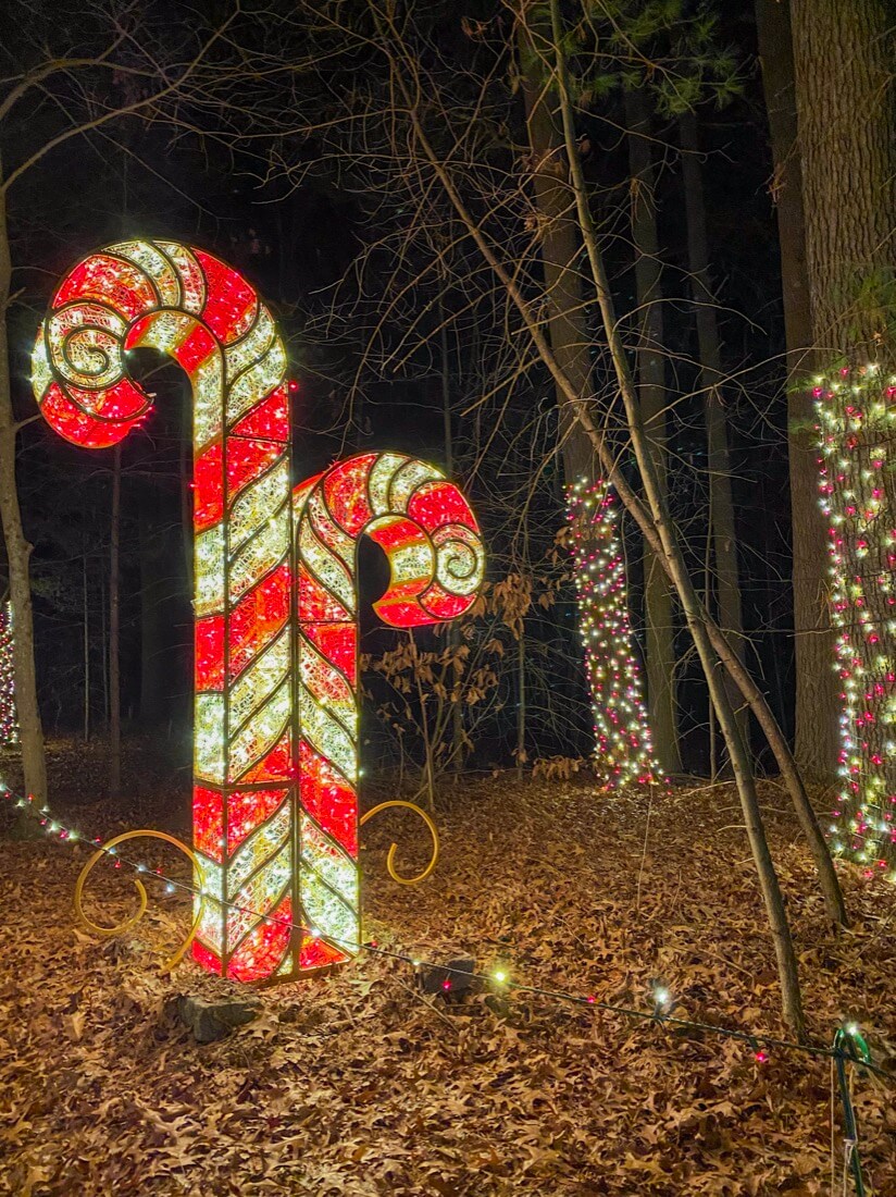 Candy Cane lights at Winter Lights Christmas lights display in Canton Massachusetts