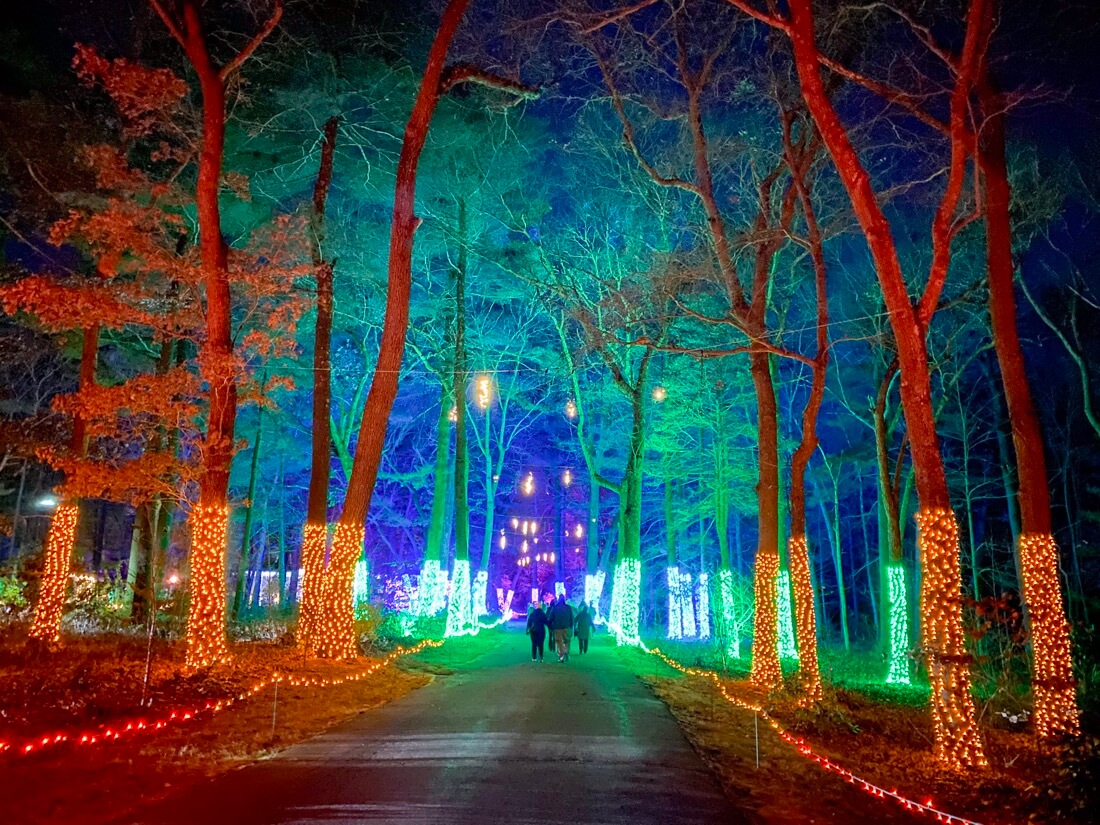Entrance to Winter Lights at the Eleanor Cabot Bradley Estate in Canton Massachusetts