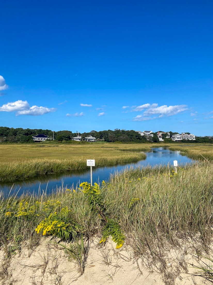 Marsh behind Cockle Cove Beach in Chatham Massachusetts