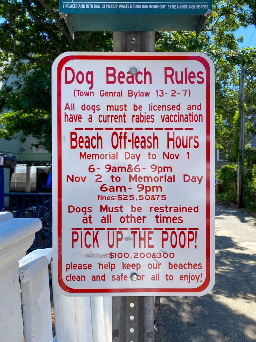 Dog Beach rules Provincetown Massachusetts