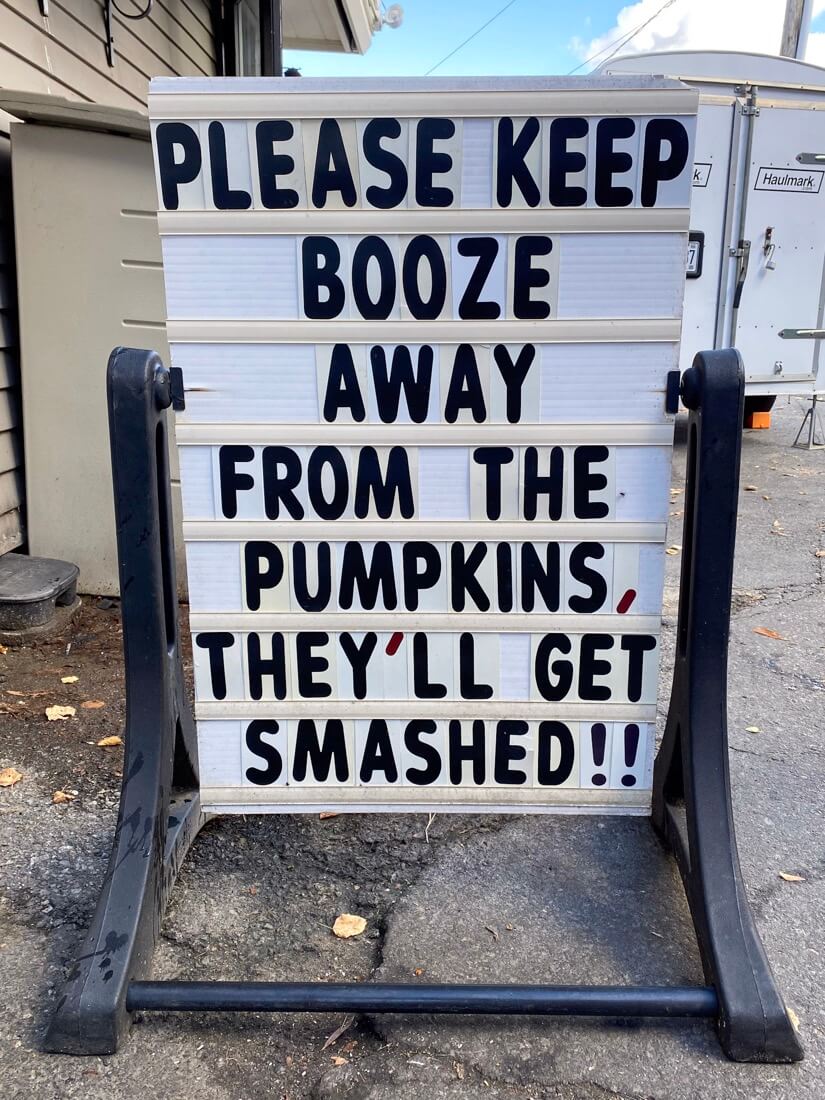 Funny pumpkin sign Damariscotta Pumpkinfest and Regatta in Damariscotta Maine