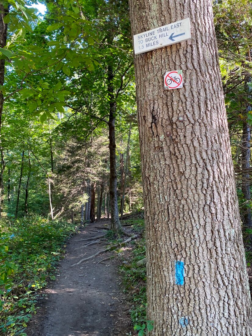 Skyline trail sign and blue blaze in Blue Hills Reservation in Milton Massachusetts