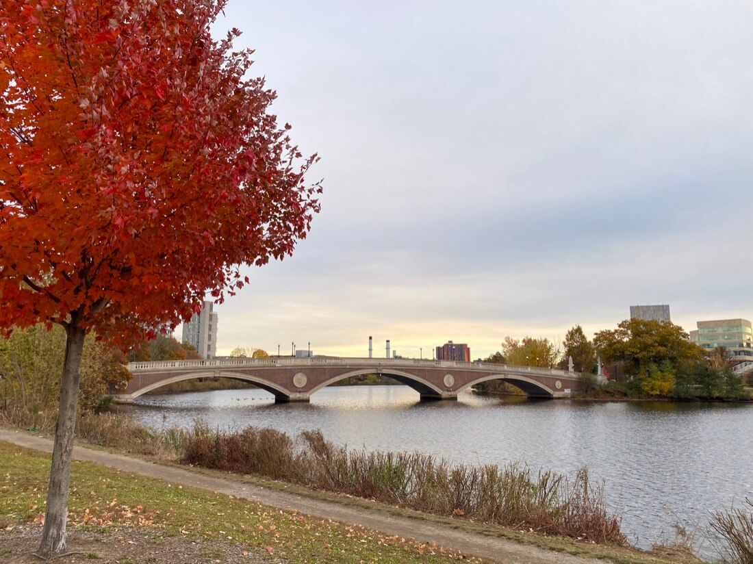 The John W Weeks Footbridge across the Charles River from Harvard Square Cambridge to Boston Massachusetts with fall colors