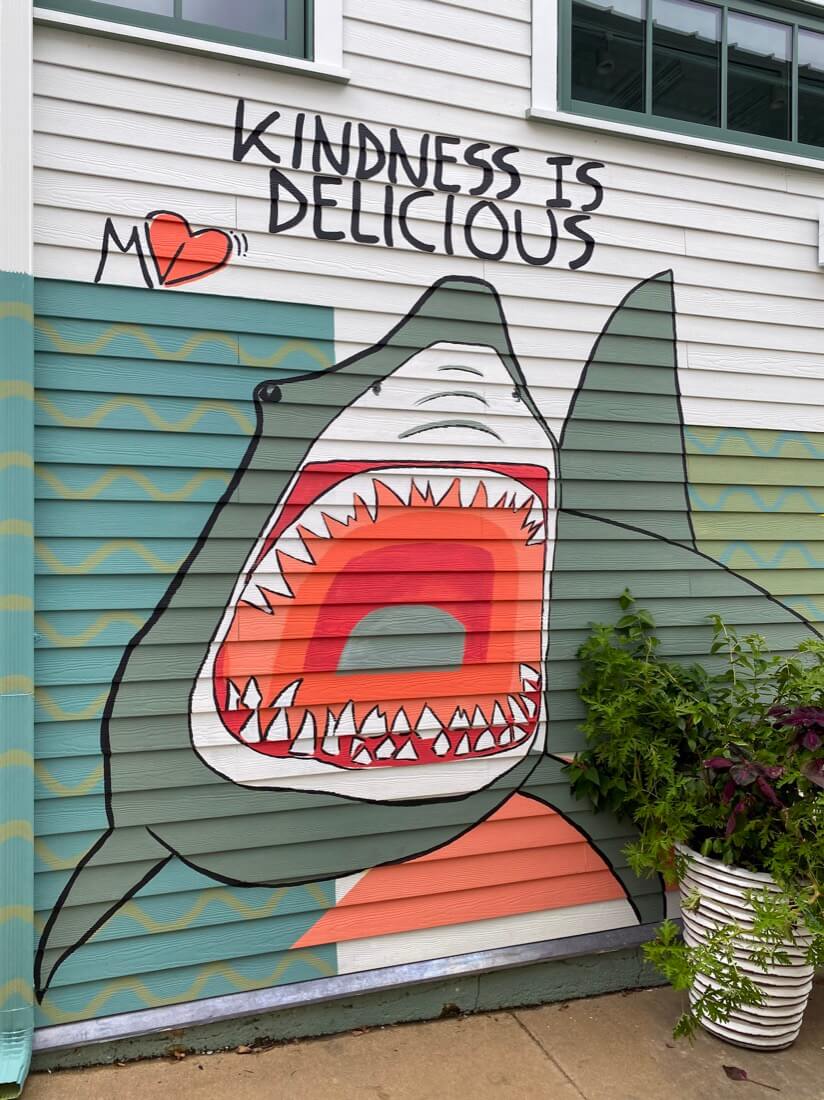 Kindness is Delicious shark art Oak Bluffs Marthas Vineyard Massachusetts
