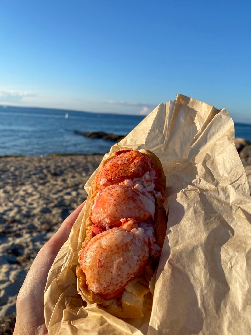 Lobster roll from Larsens Fish Market in Menemsha Beach in Menemsha Chilmark Marthas Vineyard Massachusetts